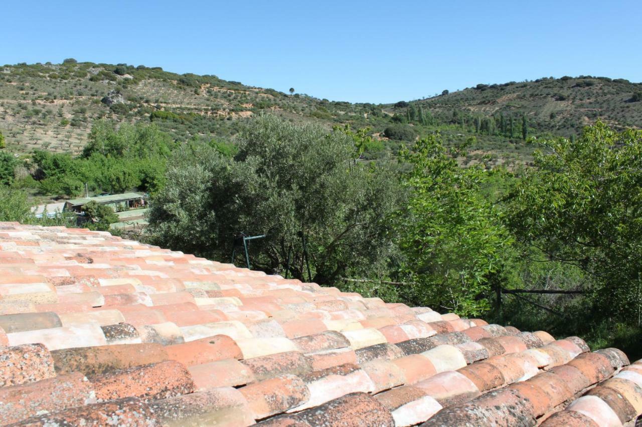 El Zarzal Guest House Horche Екстериор снимка