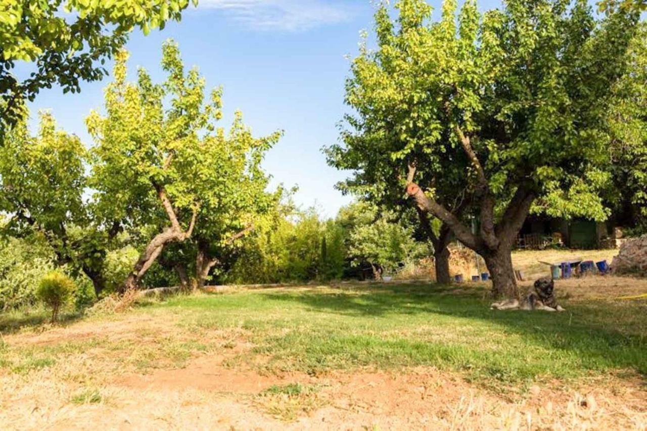 El Zarzal Guest House Horche Екстериор снимка
